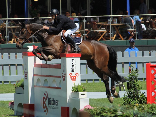 中扮演了重 中扮演了重