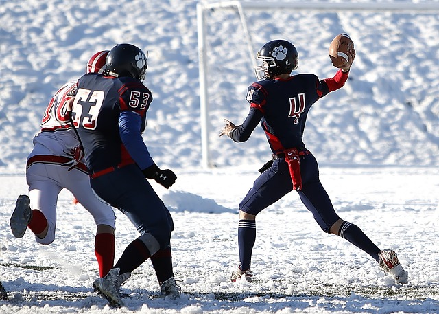 提高项目的 提高项目的