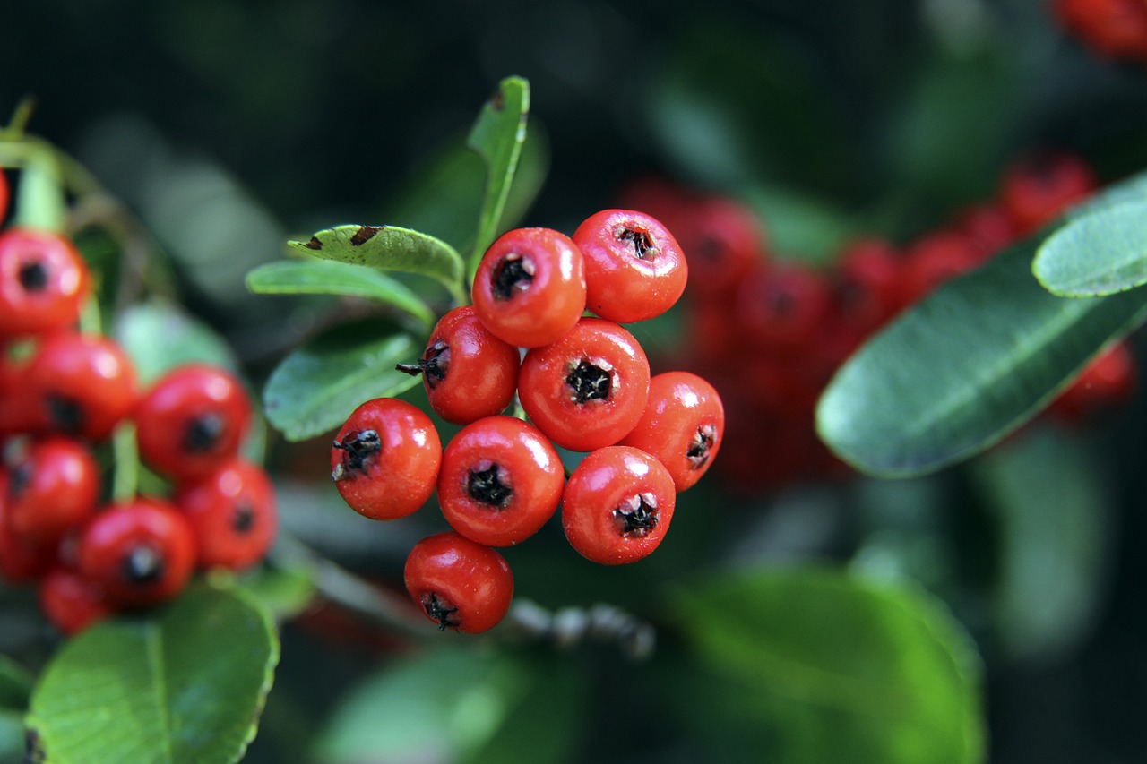 荣的李明 荣的李明