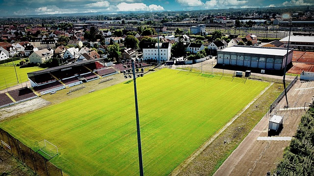 动的崛起 动的崛起